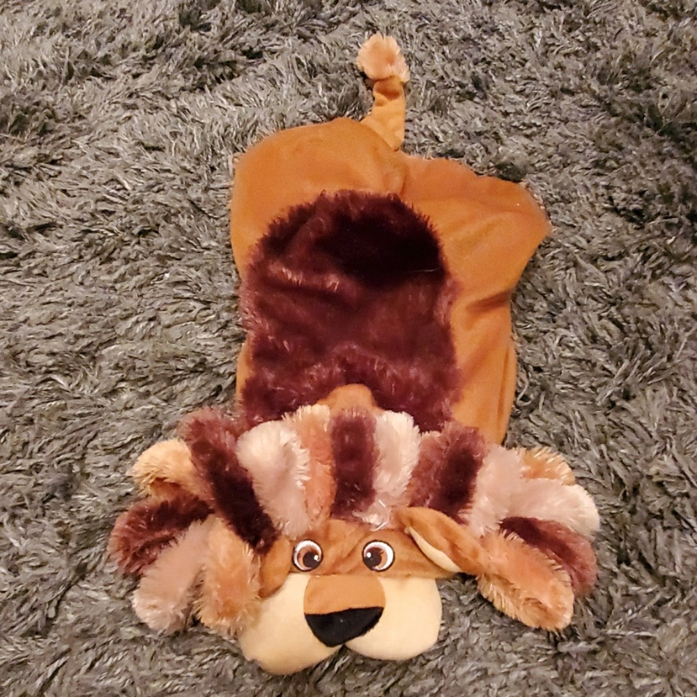 Pet Halloween Costume